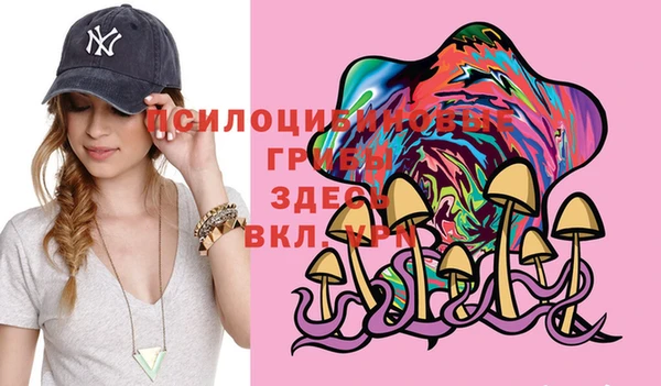 метамфетамин Щучье