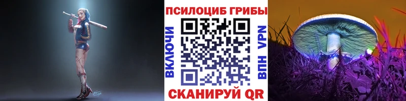 Псилоцибиновые грибы GOLDEN TEACHER  Купить где  Сосногорск 